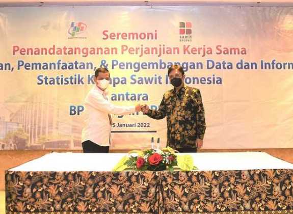 BPS dan BPDPKS Sepakat Satu Data Sawit