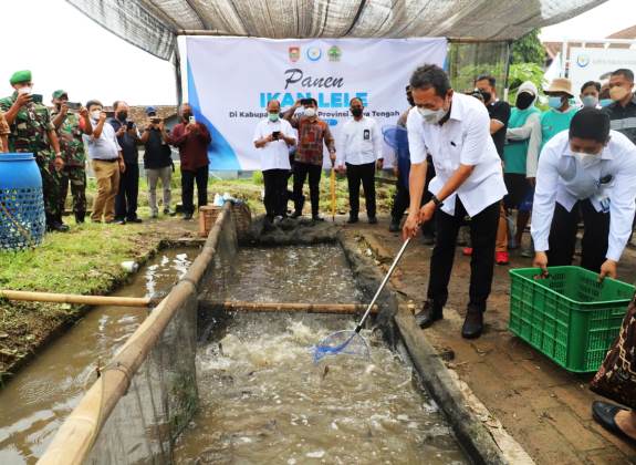 Optimis! Kampung Lele Boyolali Akan Jadi Roda Penggerak Ekonomi Sektor KP di Jateng