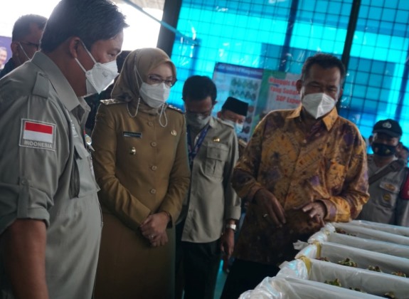 Sebanyak 3,5 Ton Manggis Purwakarta Terbang ke Tiongkok