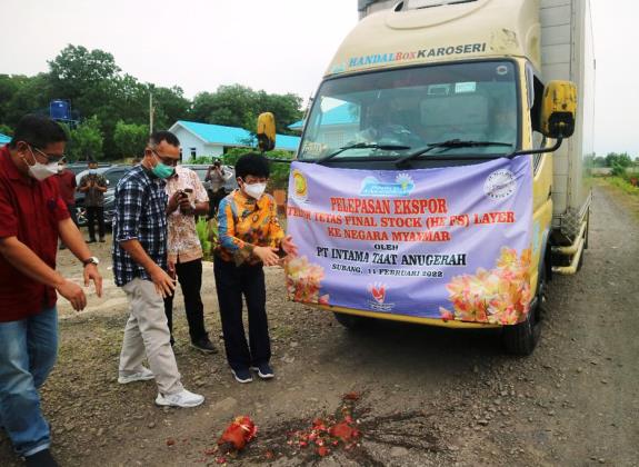 Indonesia Kembali Ekspor Telur Tetas Ayam ke Myanmar