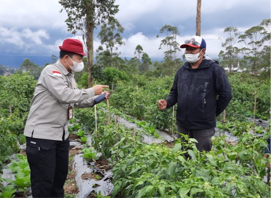 Kementan Beberkan Solusi Dampak Perubahan Iklim di Kampung Sayuran