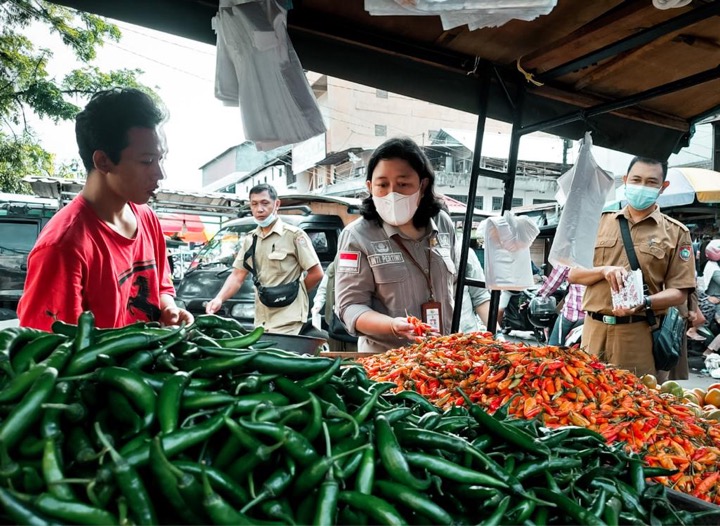 Kementan: Ketersediaan Pangan di Kalimantan Tengah Aman