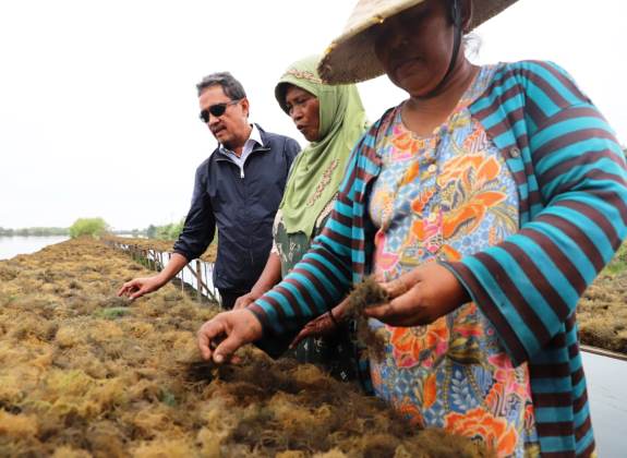 Sidoarjo Dicanangkan Jadi Kampung Budidaya Rumput Laut