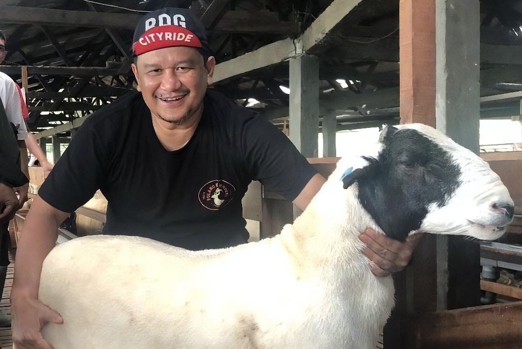 KAMBING : Hore Peternak Kambing dan Domba Naik Kelas!