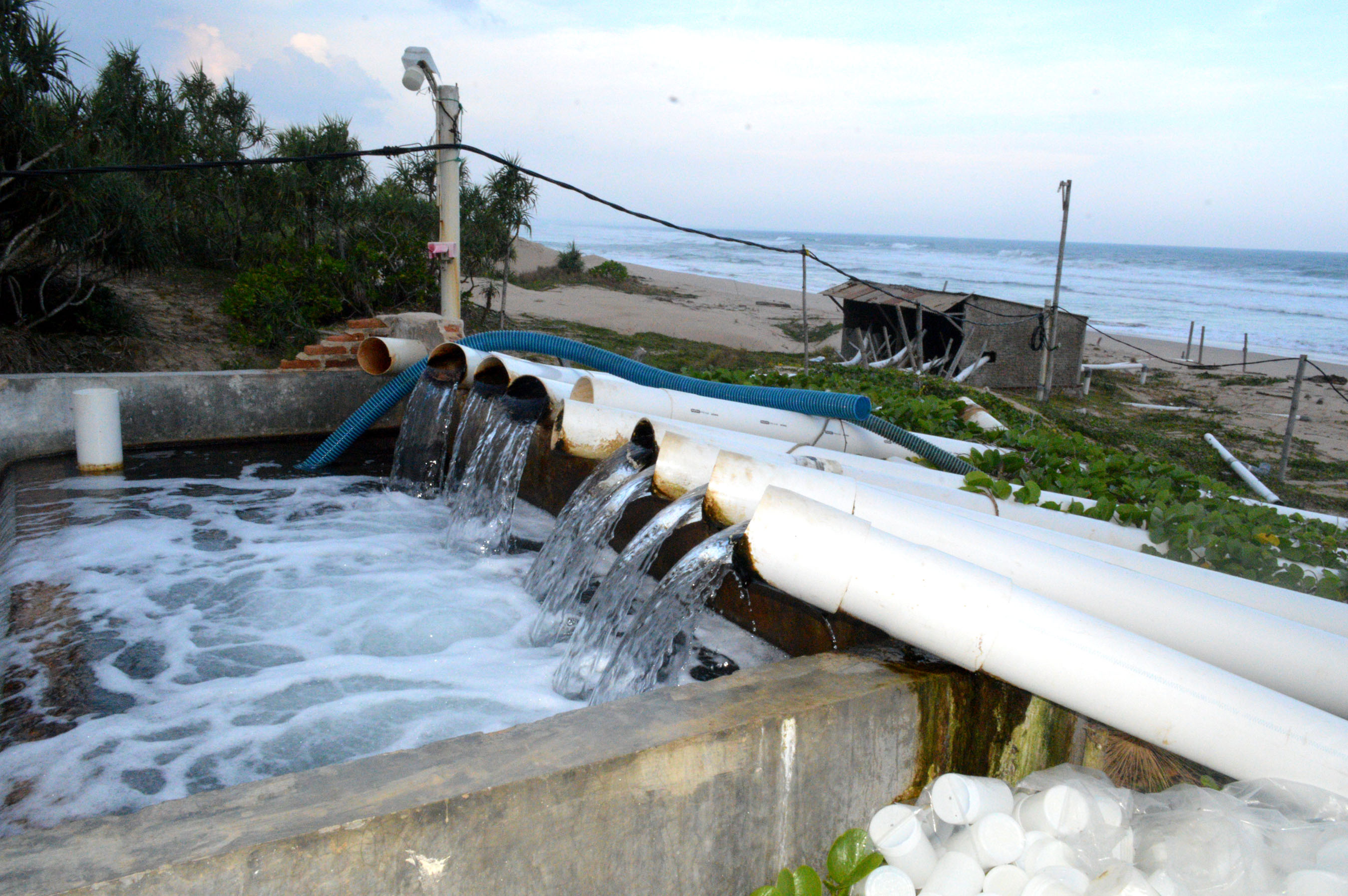 UDANG : Sumur Bor Solusi Sulit Sedot Air Laut