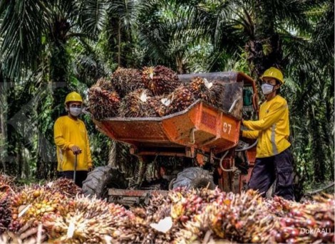 Astra Agro Buka Suara atas Rencana Pemblokiran Pasokan Minyak Sawit ke Nestle