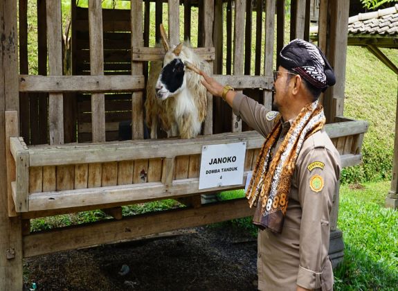 Mentan Dorong Tingakatkan Produksi KADO 