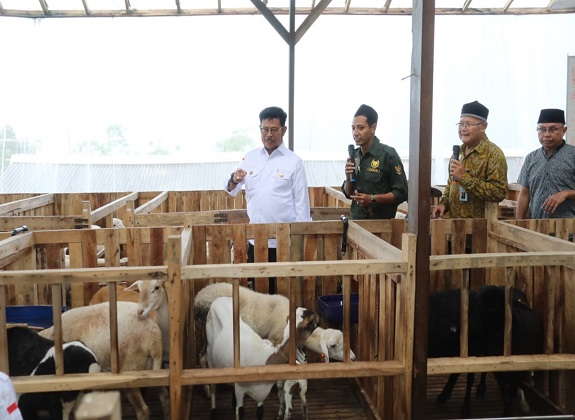 SYL Ajak Para Peternakan Penuhi Kebutuhan Daging Lokal