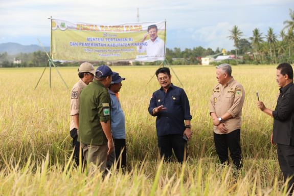 Mentan SYL Dorong Petani di Kabupaten Pinrang Segera Percepat Masa Tanam