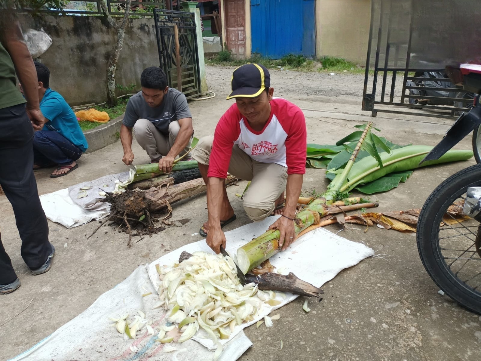 Demi Tingkatkan Kualitas Produksi Kopi Organik, Kementan Gelar Pelatihan