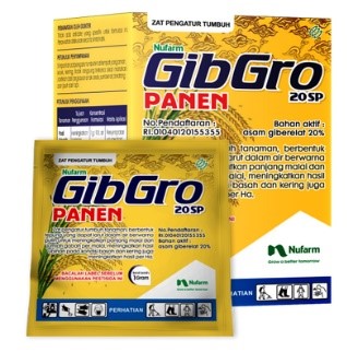 Panen Padi Melimpah dengan ZPT Gibgro 10 SP dan Gibgro Panen 