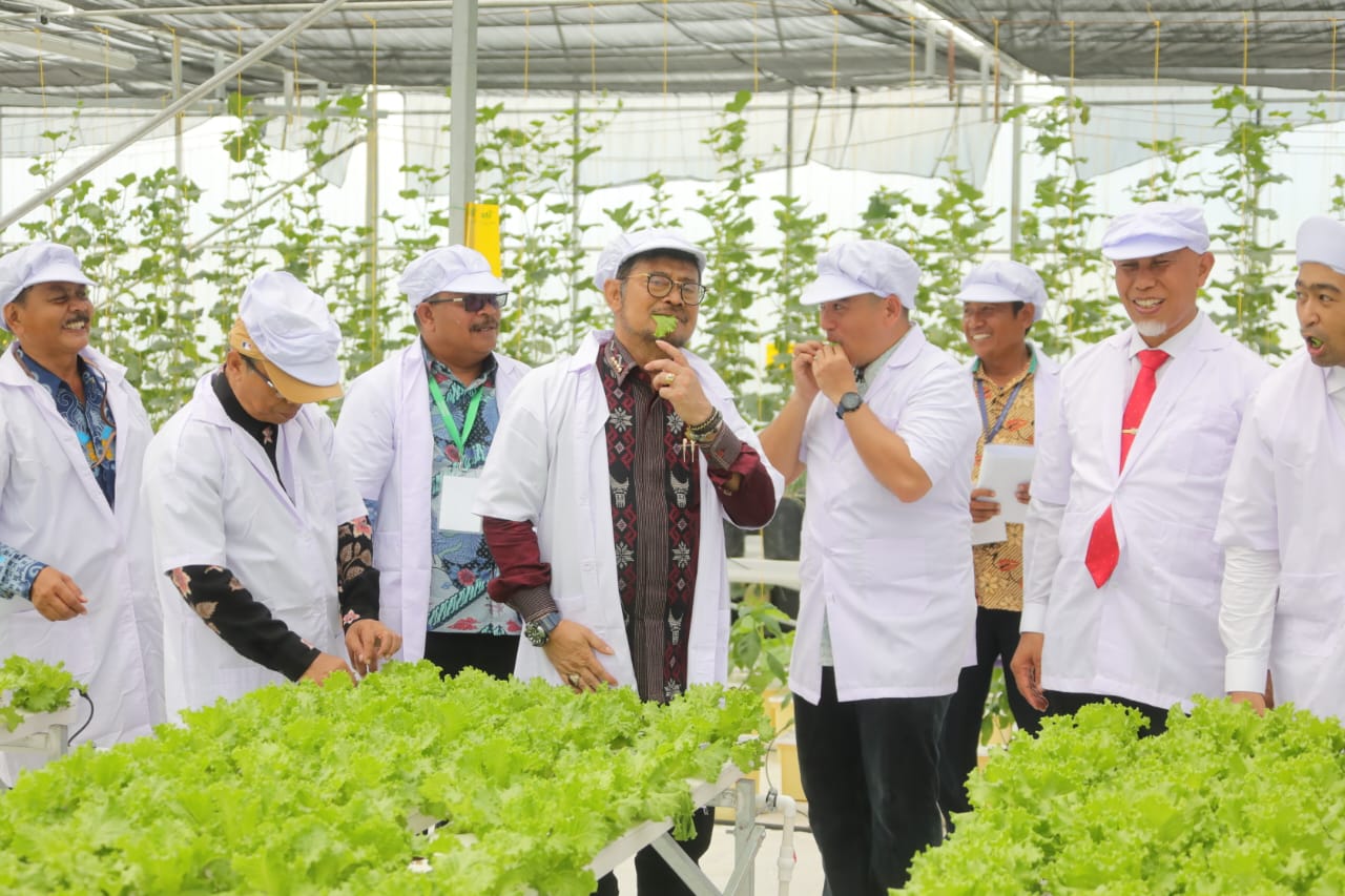 Smart Green House : Teknologi Masa Depan Ramah Lingkungan dan Tinggi Produktivitas