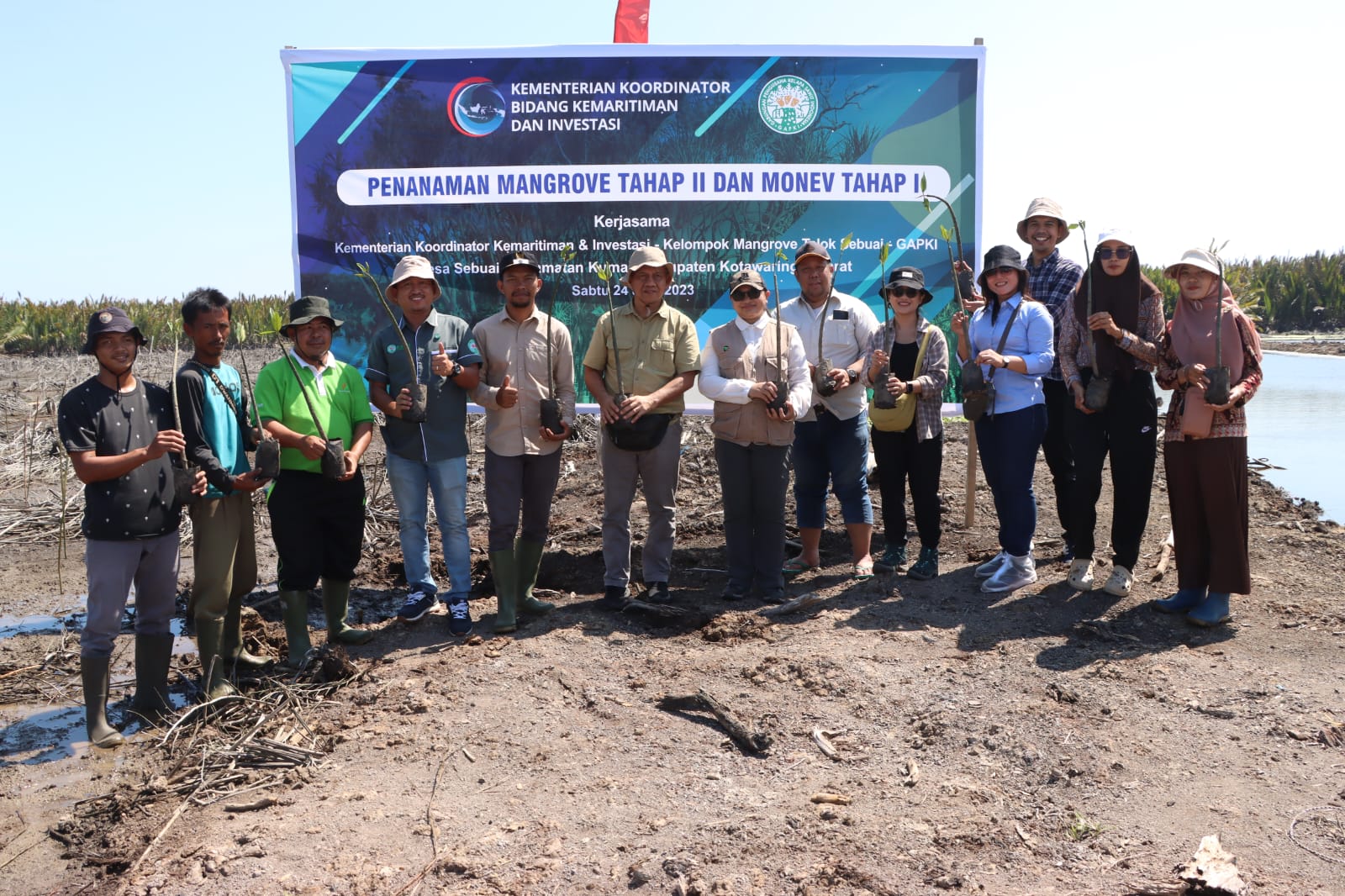 Tingkat Hidup Capai 90%, GAPKI Bersama Kemenko Marves Lanjutkan Program Penanaman Mangrove di Kumai