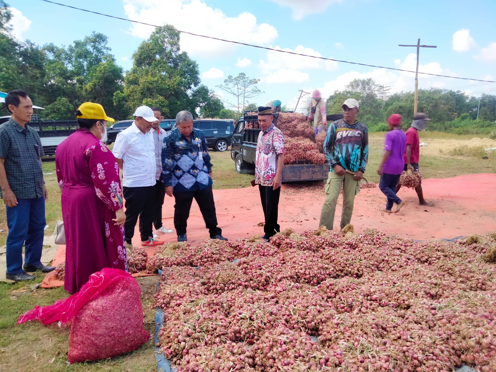 Edukasi Ramah Lingkungan Faktor Utama Peningkatan Produksi Bawang Merah di Sumbawa