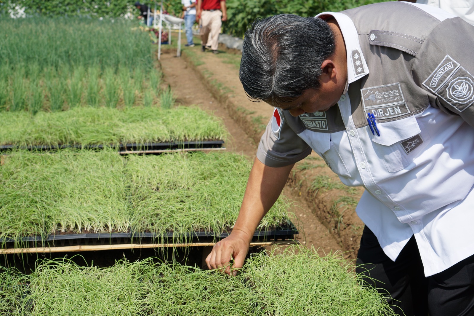 Kementan Dukung Penelitian Benih Unggul Perusahaan Swasta