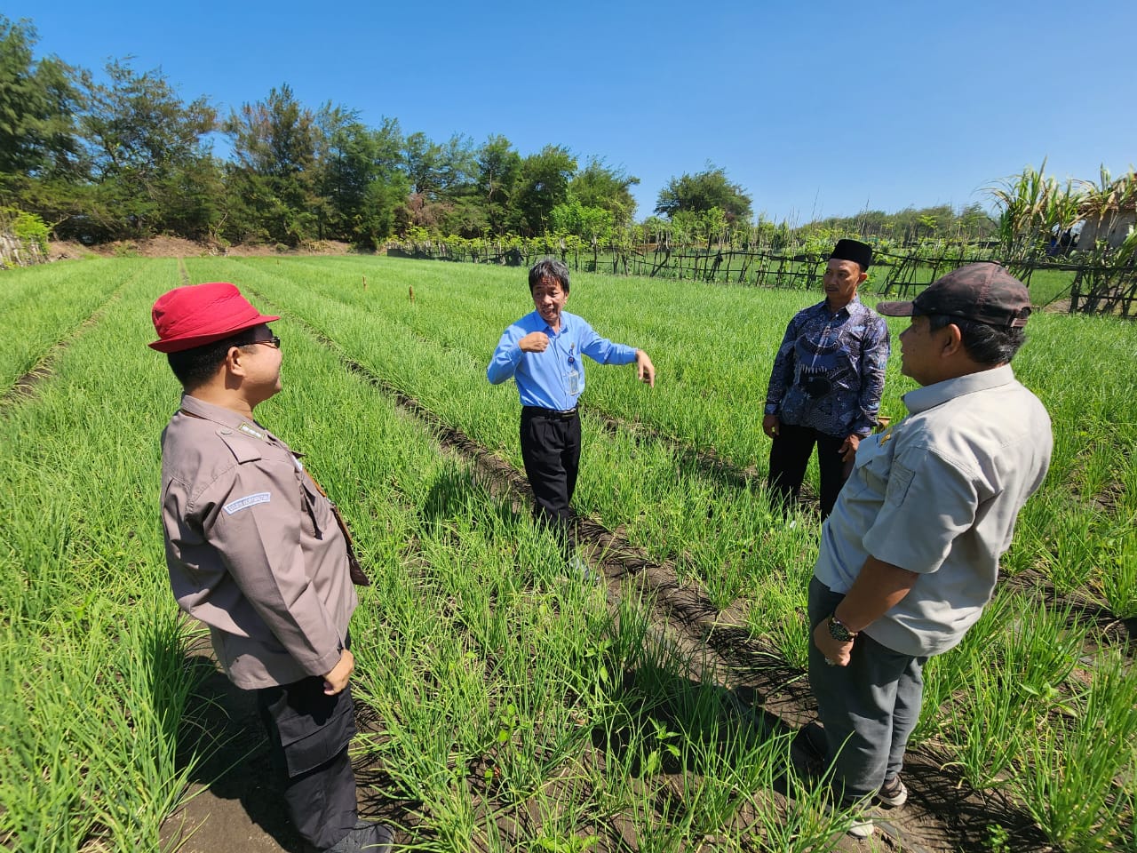 Hadapi El Nino, Kementan Terapkan Aplikasi Teknologi Hemat Air Di Lahan Berpasir