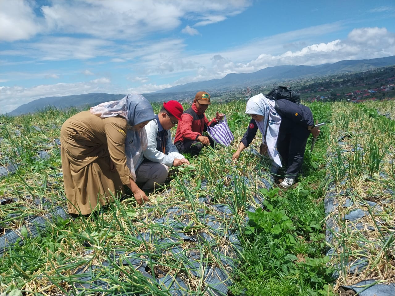 Lembah Gumanti dan Singgalang Sumbar Ditargetkan menjadi Kawasan Ramah Lingkungan