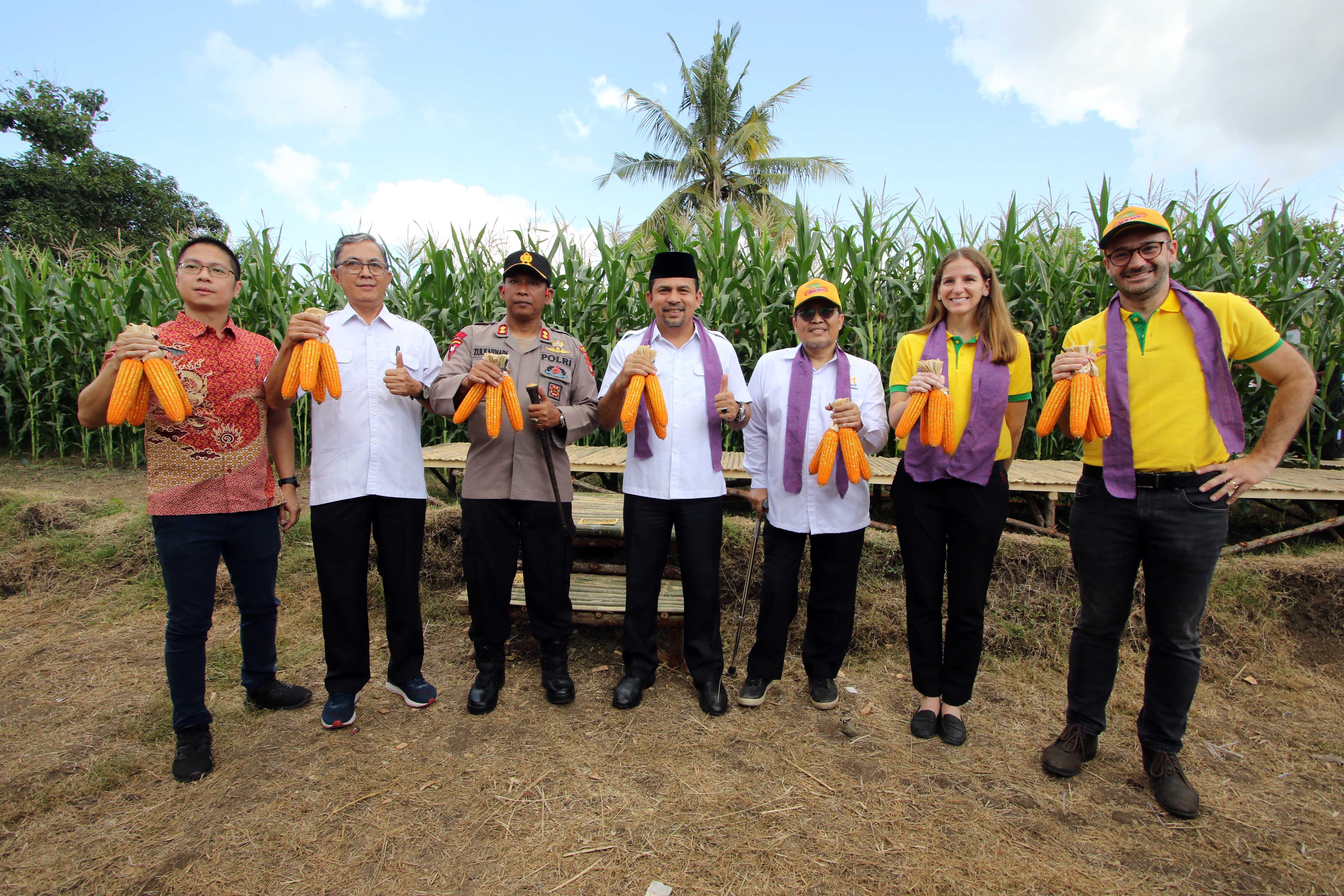 Ini Variteas Unggul Jagung yang Dinanti!