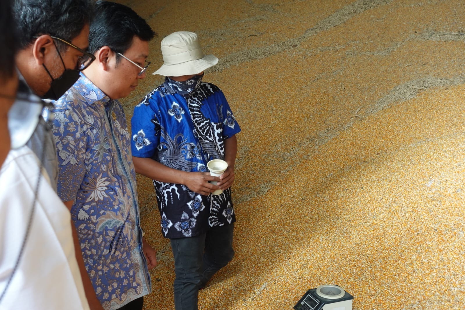 NFA Dorong BUMN Pangan Penuhi Stok Cadangan Jagung Pemerintah Sesuai Penugasan