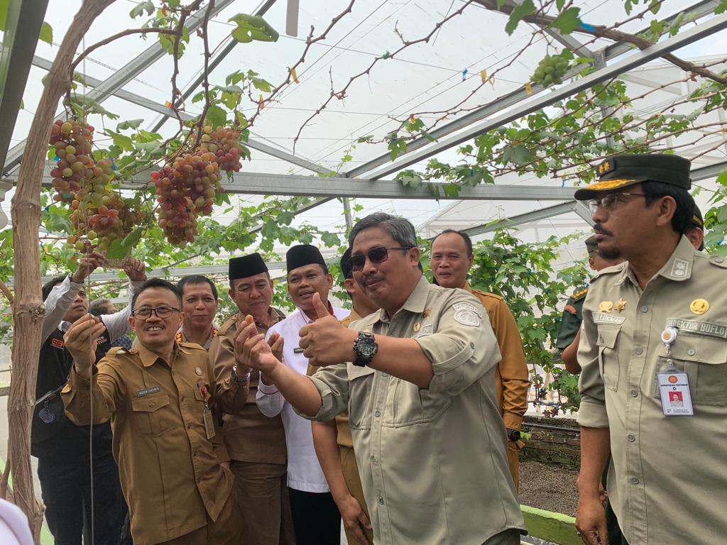 Hadiri Pembukaan AEW Markaz Komobid Serang, Kementan: Harapan Baru Pertanian Banten