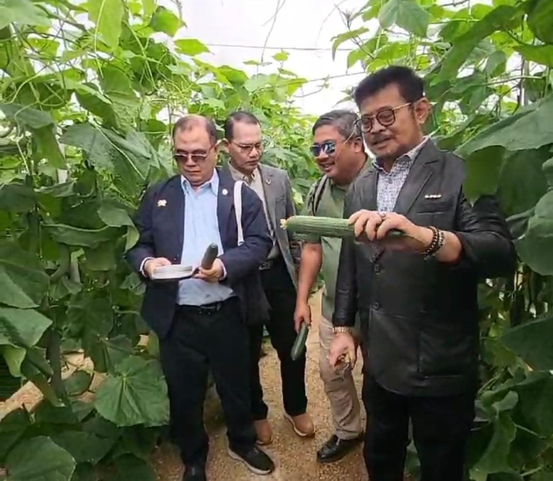 Menyulap lahan tandus jadi pemasok sayur terbesar Eropa