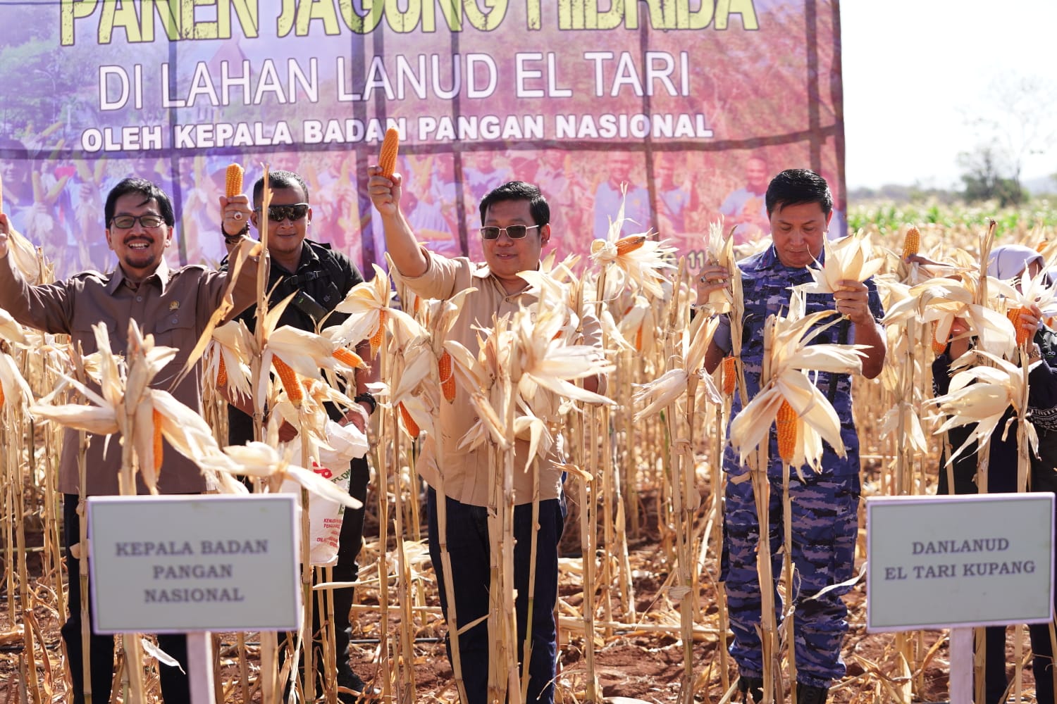 Pemerintah Siapkan Langkah Strategis Bantu Peternak Ayam