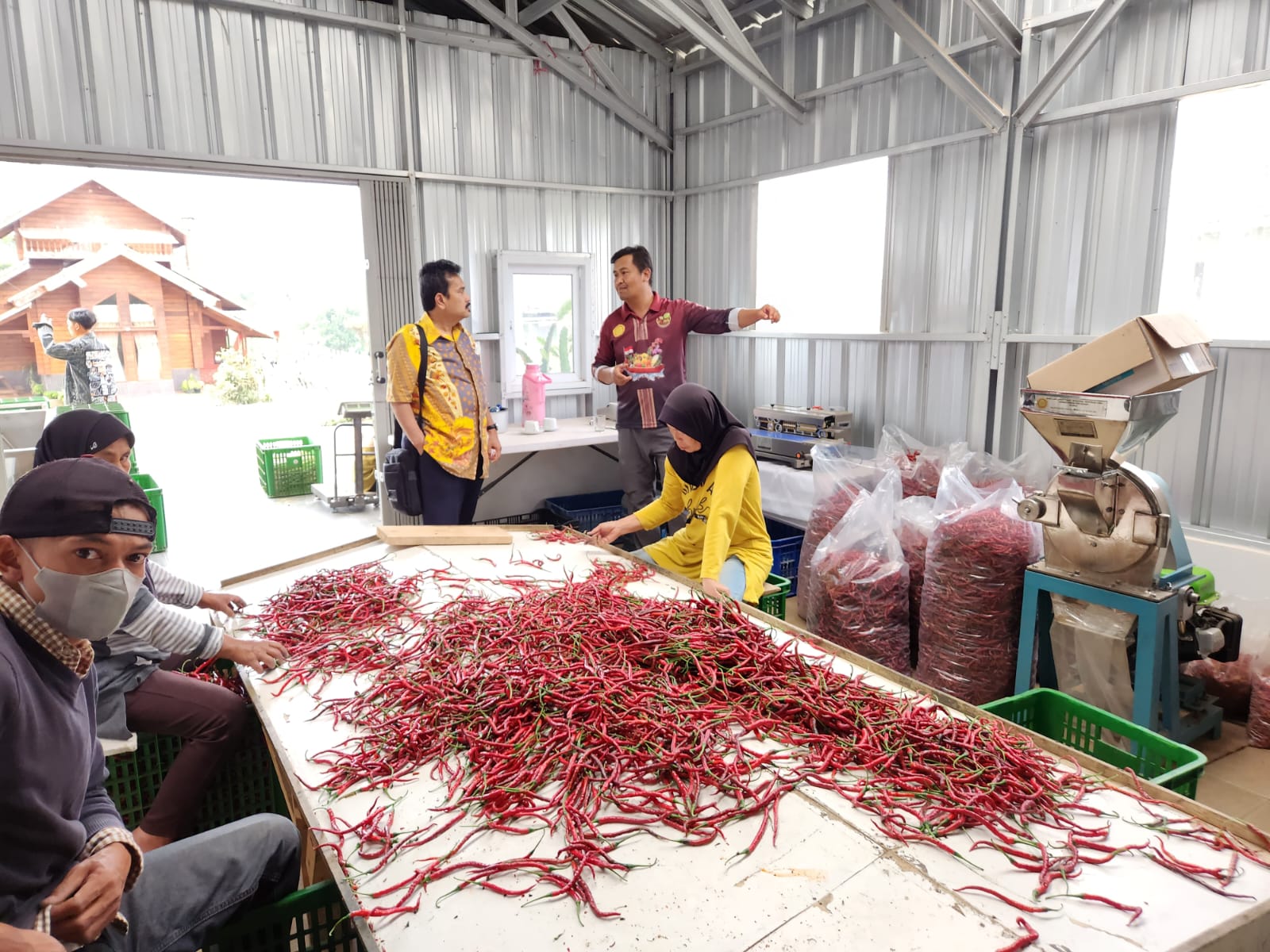 Wujudkan UMKM Hortikultura Naik Kelas, Kementan Buat Aplikasi PROHORTI