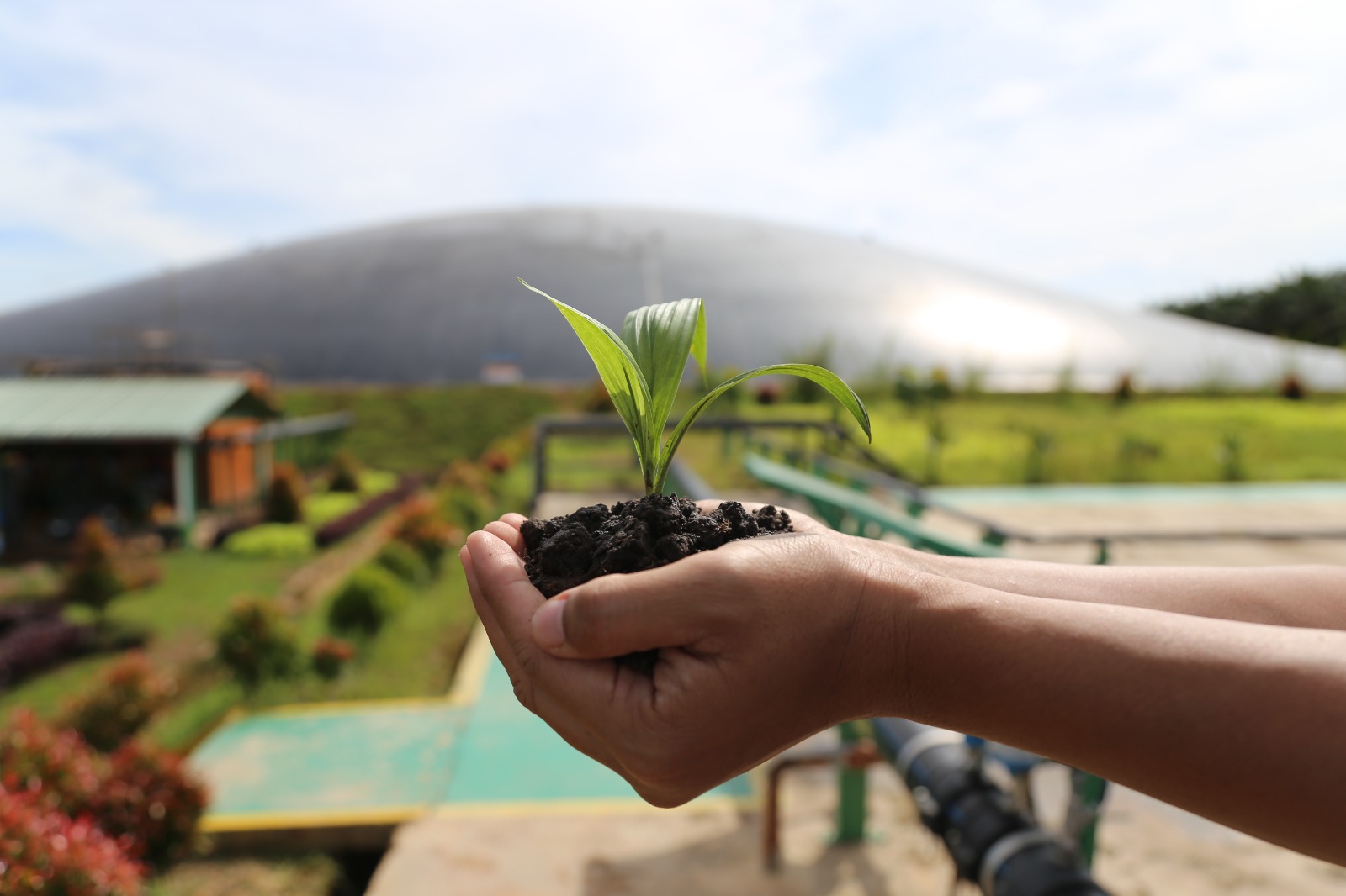 Produktivitas Meningkat, Pendapatan pun Bertambah