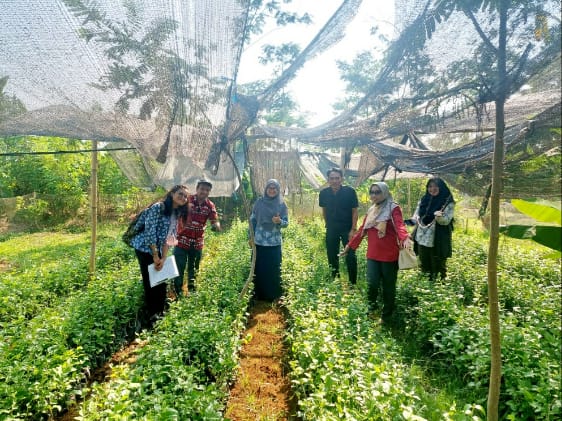 Pengembangan Melati sebagai Komoditas Florikultura Unggulan di Jawa Tengah