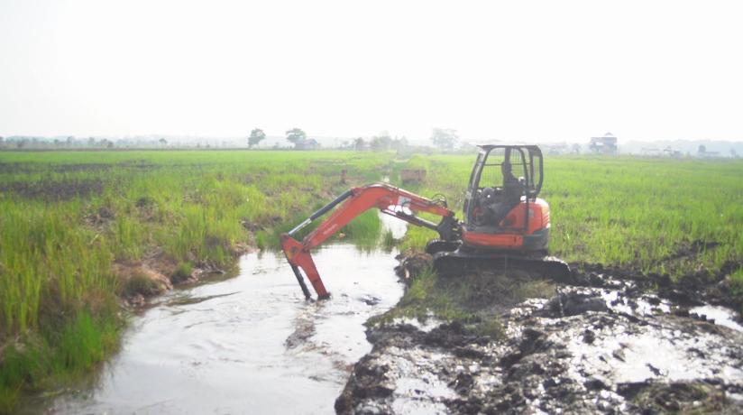 Kebijakan Akselerasi Tanam Untuk Menekan Impor Dampak El Nino 2024