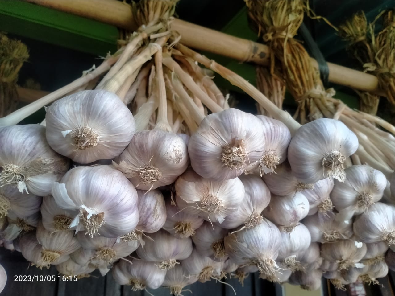 Kementan Dorong Peningkatan Produksi Bawang Putih Melalui Wajib Tanam dan Produksi