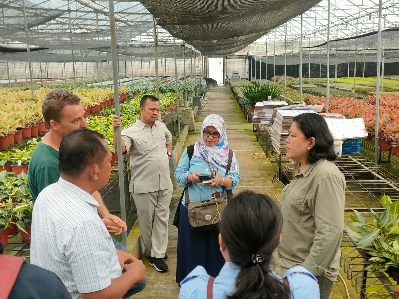 Ditjen Hortikultura Fokus Peningkatan Volume Ekspor Tanaman Hias