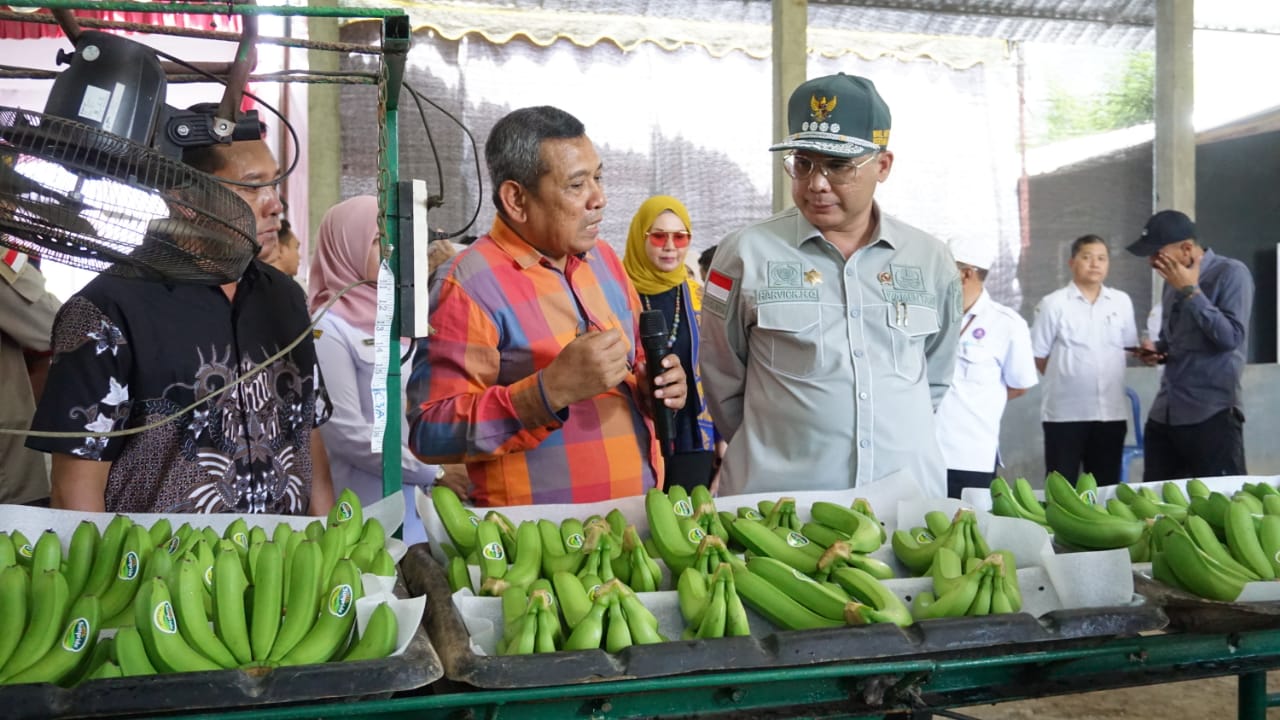 Wamentan Dorong Pisang Blitar Tembus Pasar Ekspor Lewat Korporasi Petani