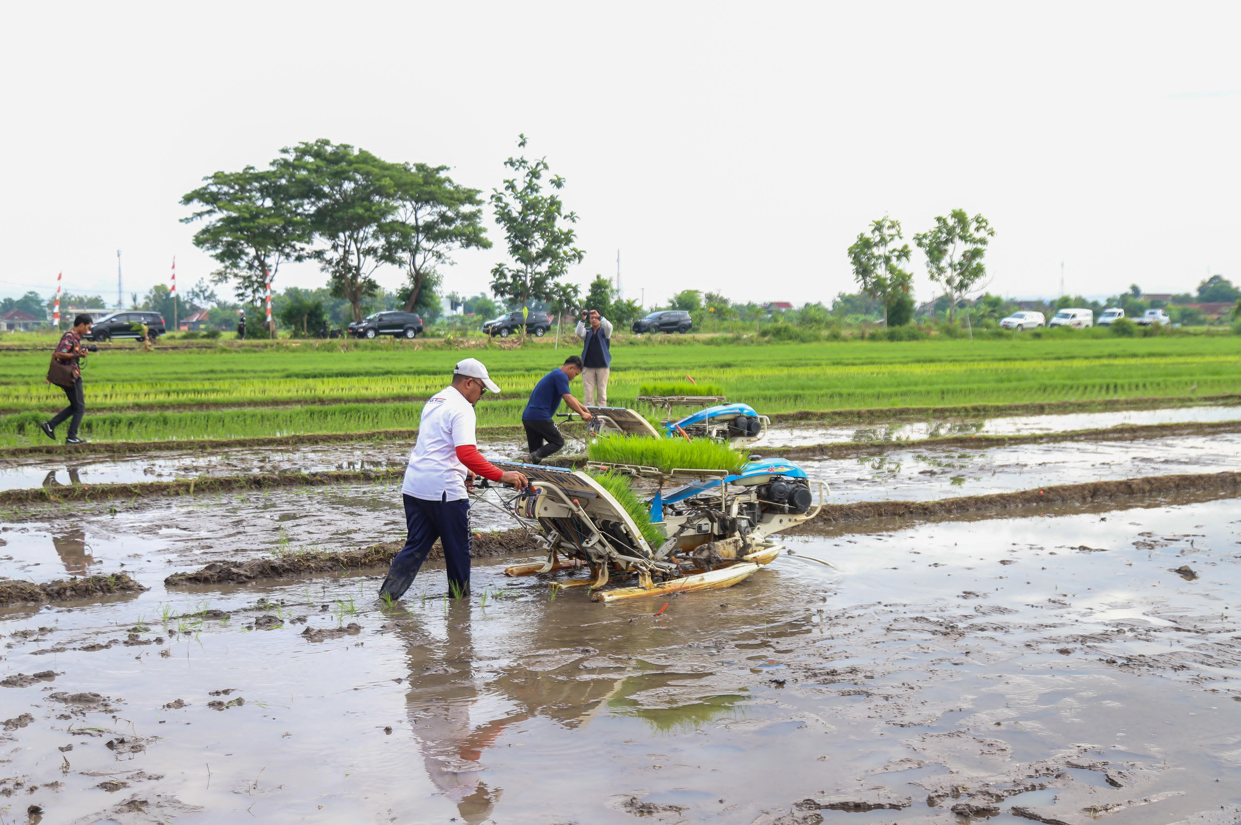 BPS: PDB Pertanian Tumbuh positif, Berkontribusi Terhadap Ekonomi Nasional