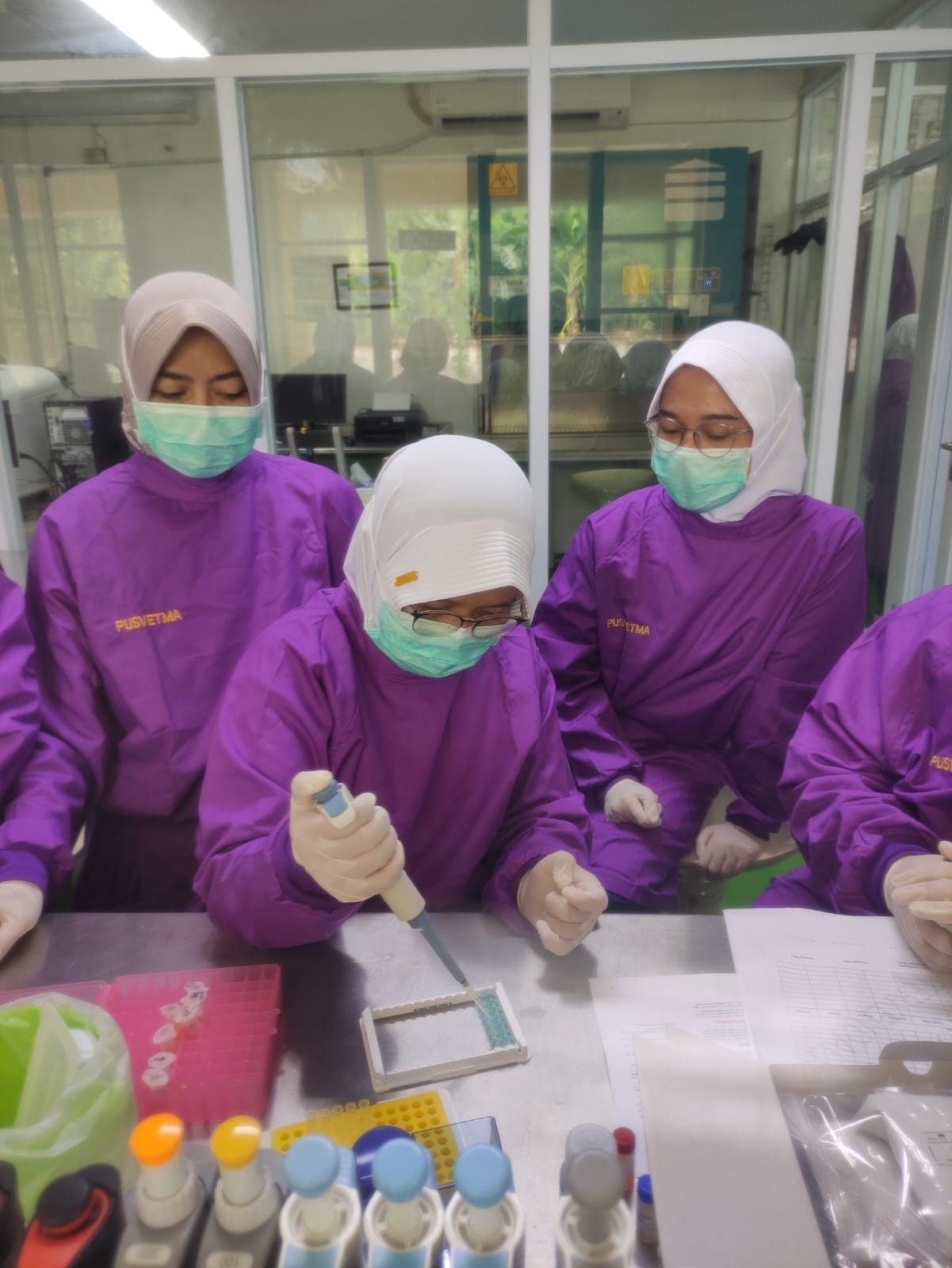 Kementan Gandeng FAO dan Pirbright Institute UK Tingkatkan Kompetensi SDM Diagnosis Virus PMK