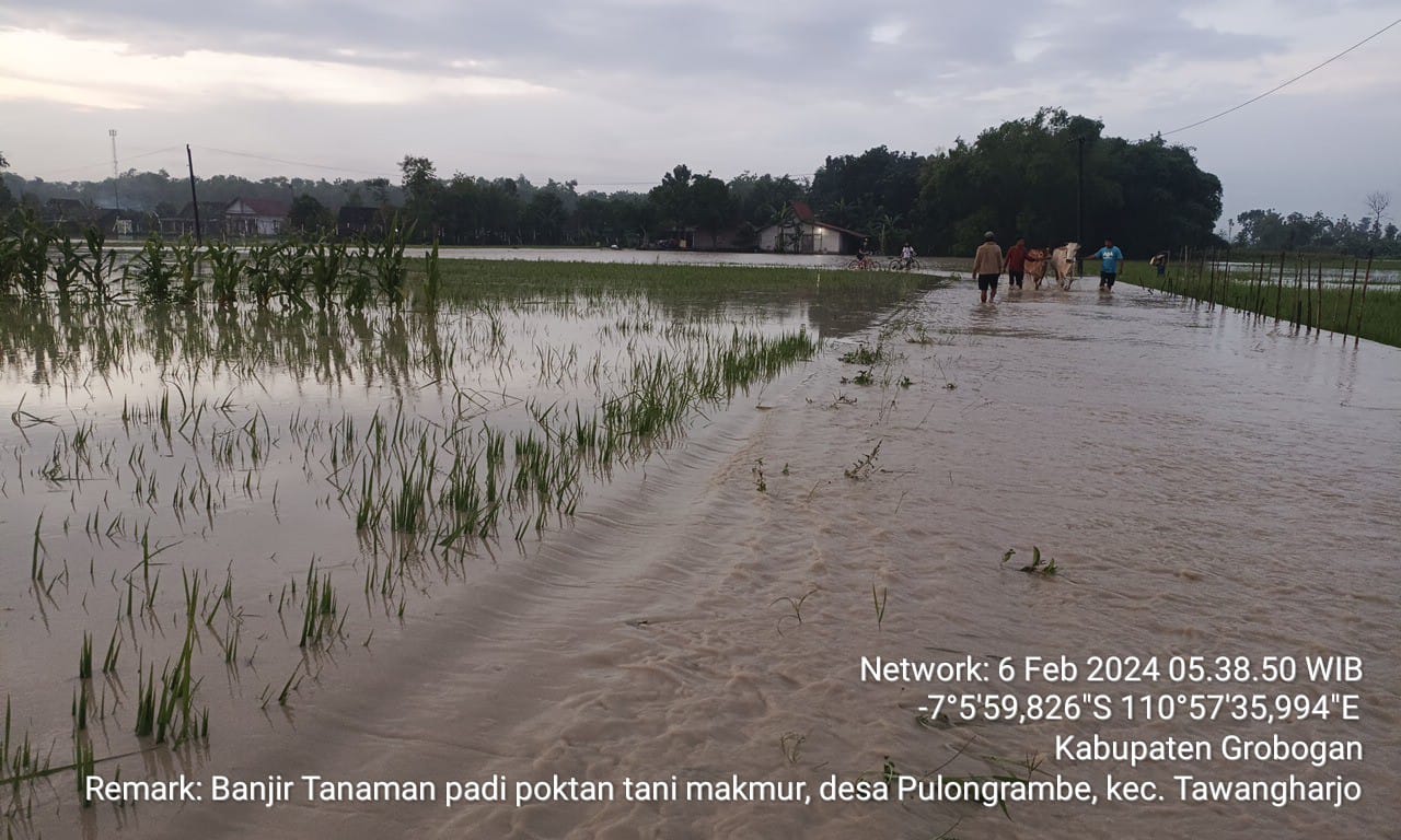 Kementan Mitigasi Bencana Banjir di Lahan Pertanian Grobogan