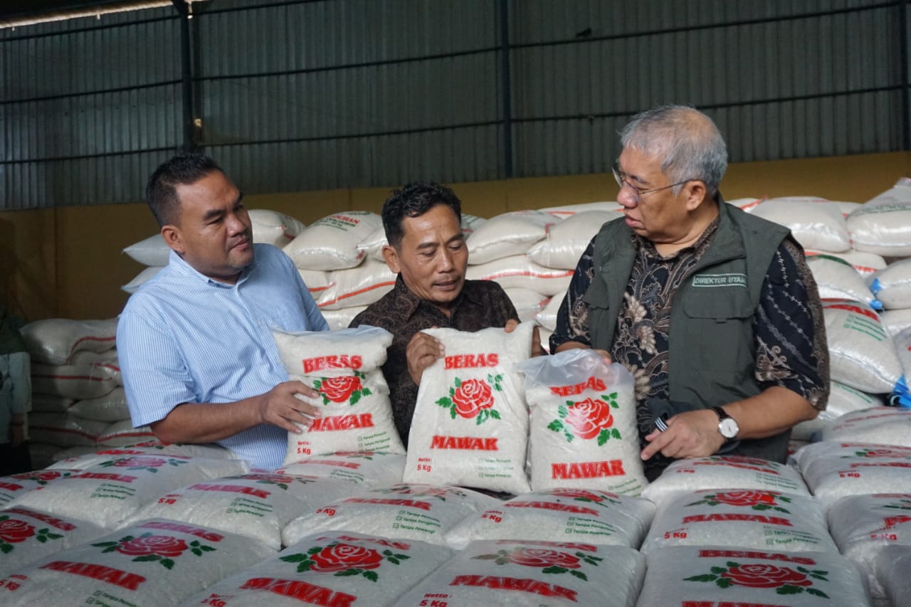 Dirut Bulog Tinjau Kondisi Panen Padi di Kawasan Blora