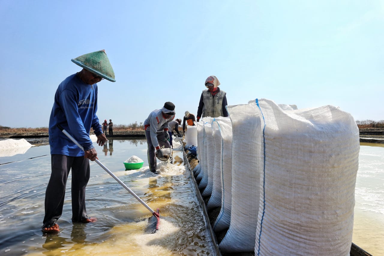 Produksi Garam Nasional Capai 2,5 Juta Ton