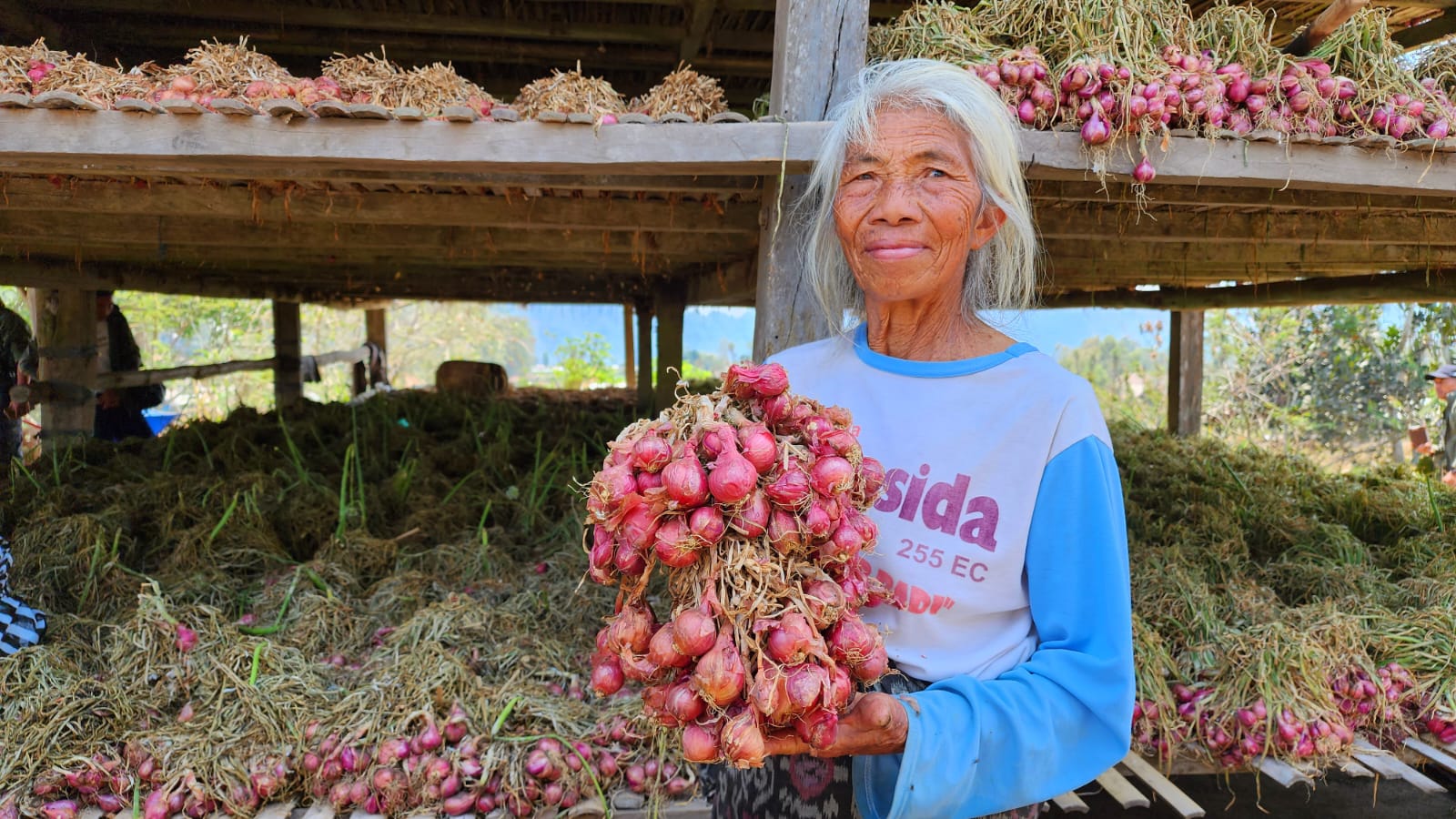 Petani Bawang Merah Indramayu, Pemasok Pasar Jabodetabek