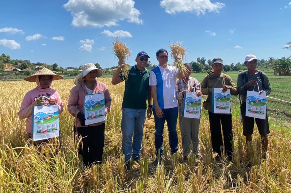 Kegigihan Petani Rote untuk Ketahanan Pangan