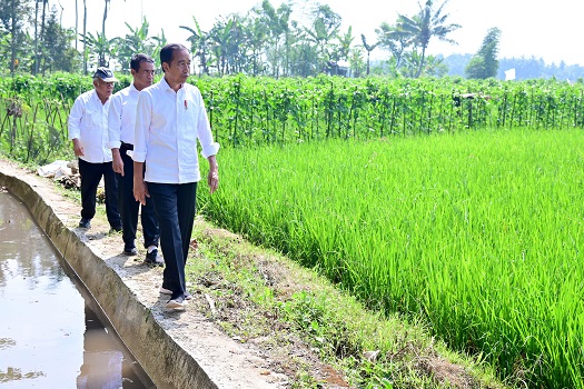 Presiden Jokowi Tinjau Pompanisasi di Kabupaten Semarang