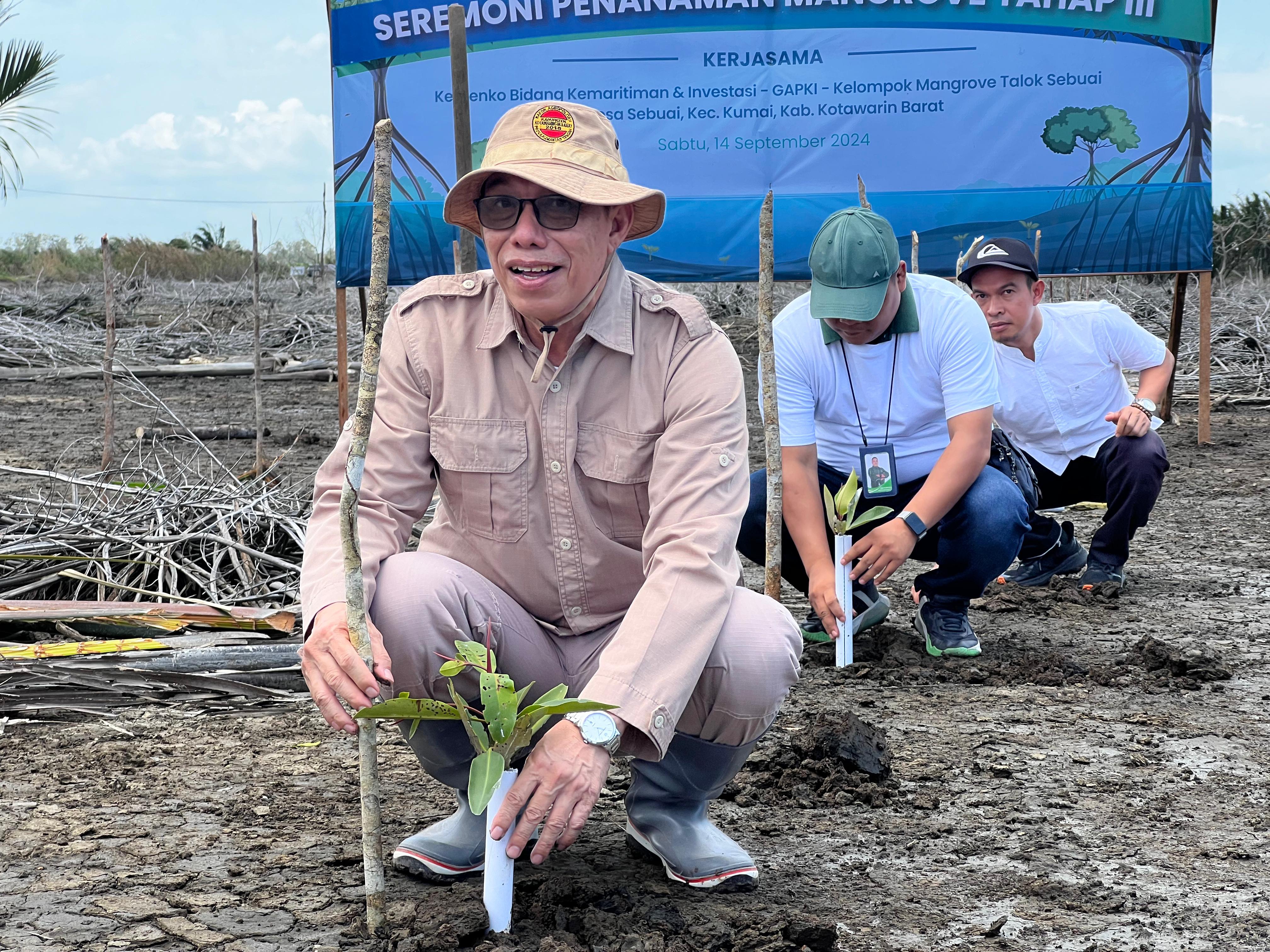 Atasi Abrasi di Kalteng, GAPKI Kelola 50 Hektar Lahan Mangrove