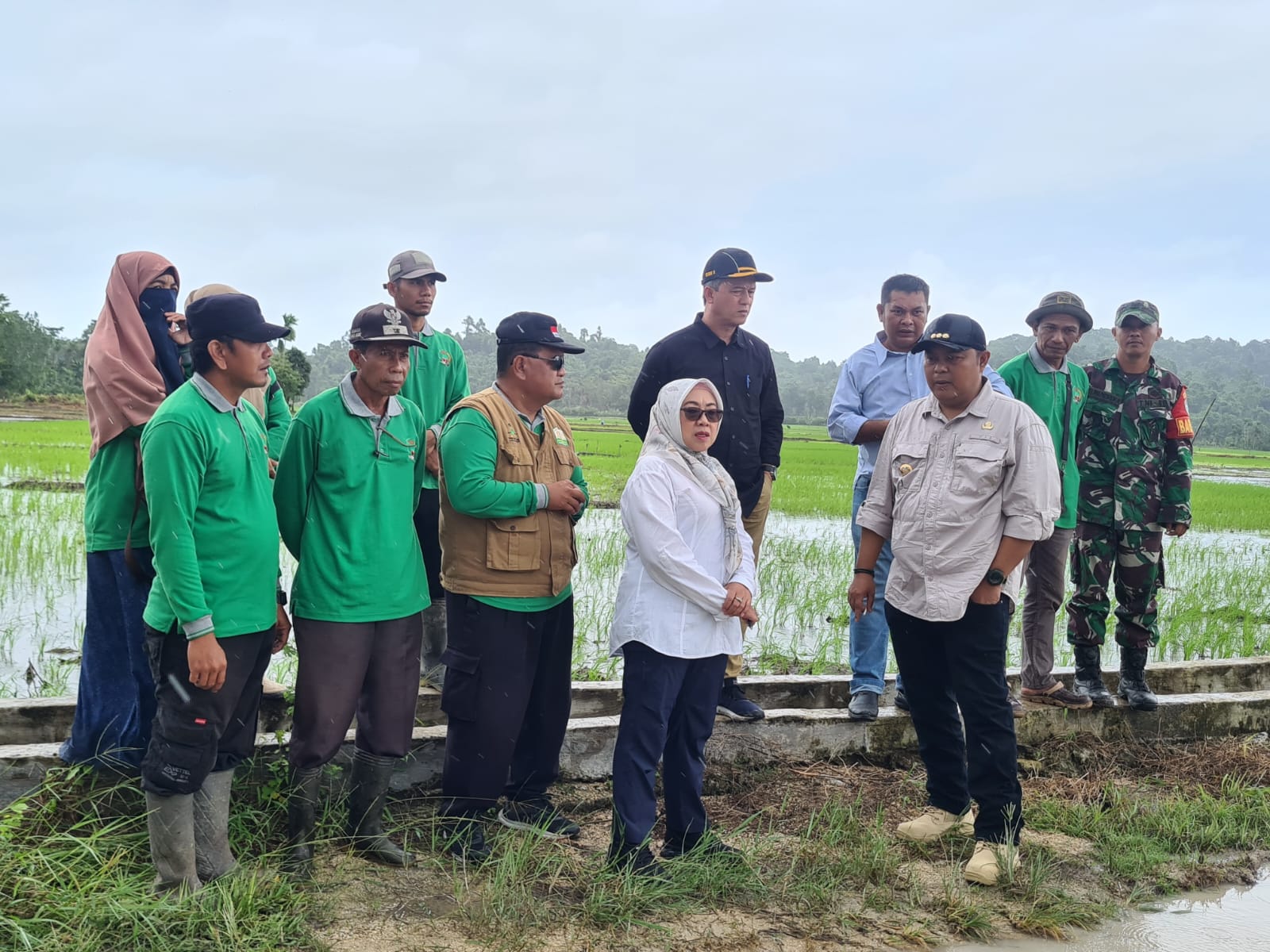 Kementan Gerak Cepat Tingkatkan Produksi dengan Program OPLAH