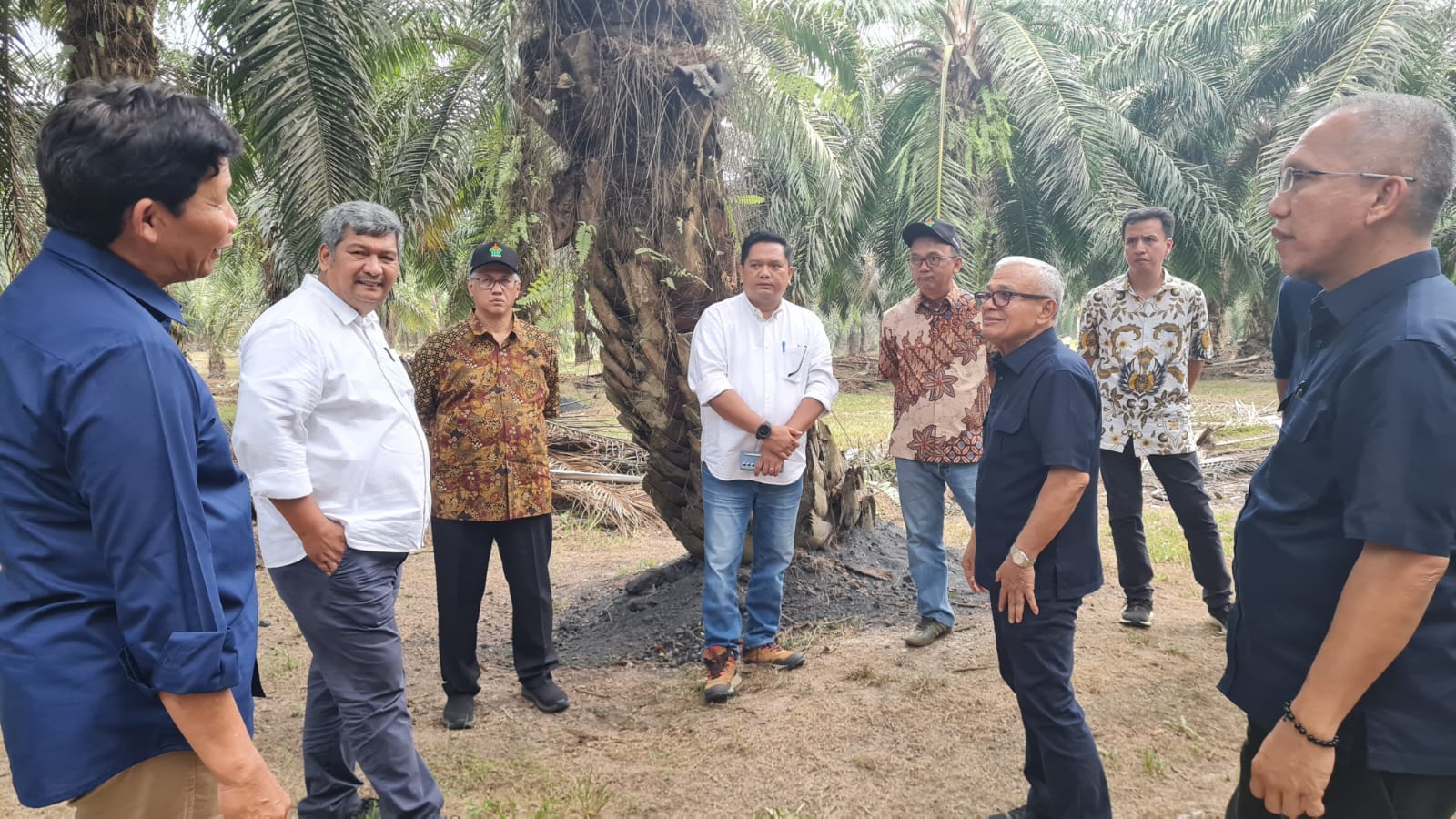 Kunjungi Kebun, Dekom Minta PTPN IV Reg 7 Tingkatkan Protas