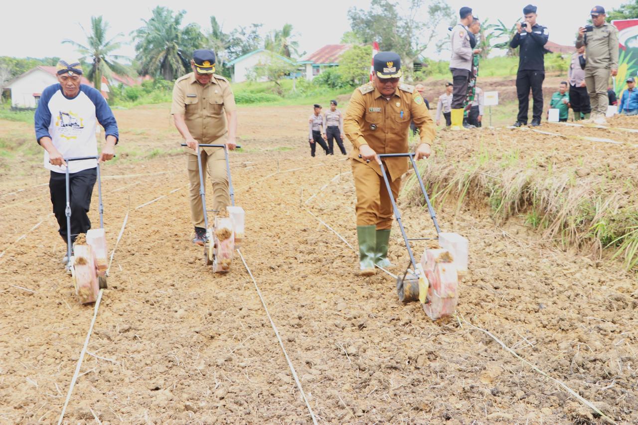 AALI Dukung Swasembada Pangan dengan Tanam Jagung