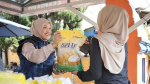 Masifnya SPHP Berdampak Penurunan Harga Gabah dan Beras