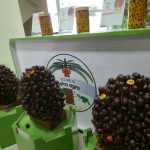 Astra Agro Perkuat Produktivitas dan Keberlanjutan Sawit Lewat Teknologi dan Riset Terpadu 