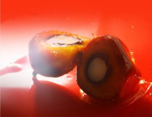 Ketegangan Geopolitik, Indonesia Perkuat Benteng Pangan dan Energi