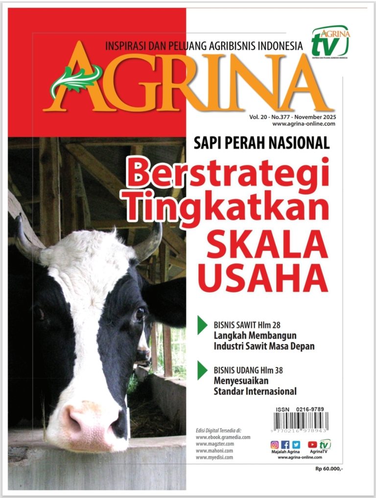 tempFileForShare_20251107-175916