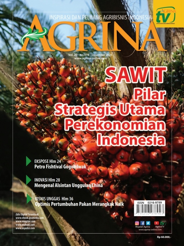 378 Cover De25_20251217-104130(1)